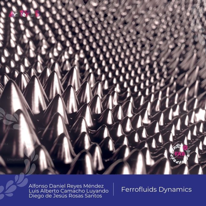 Ferrofluids Dynamics